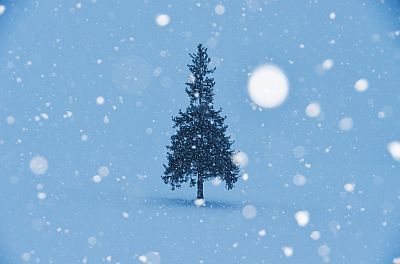 １番好きなクリスマスソングは